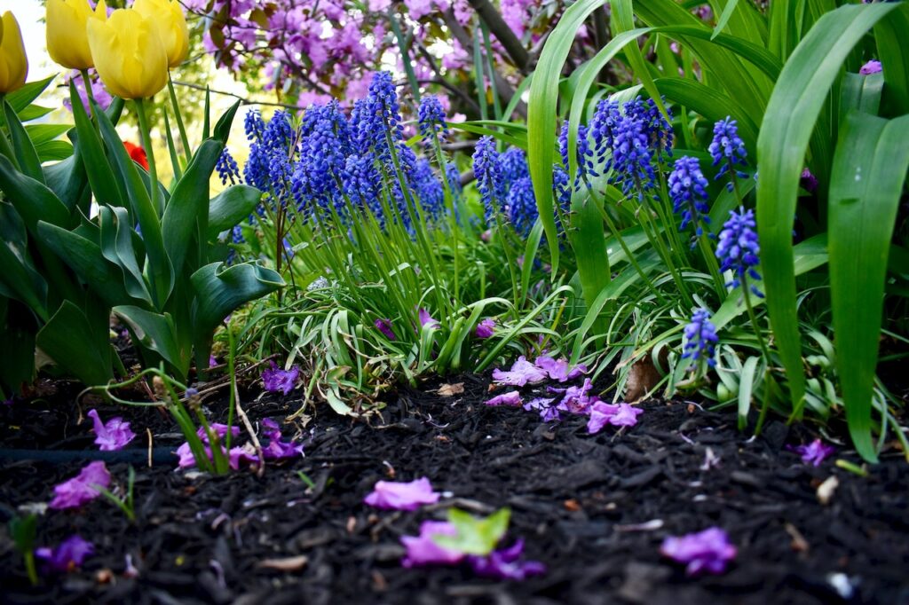 What's the Best Way to Lay Mulch? A Guide