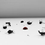 Pest Control